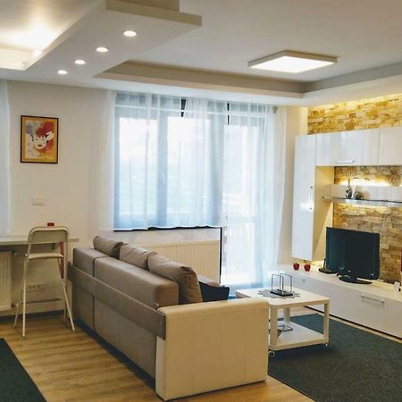 Studio 10 Buşteni エクステリア 写真