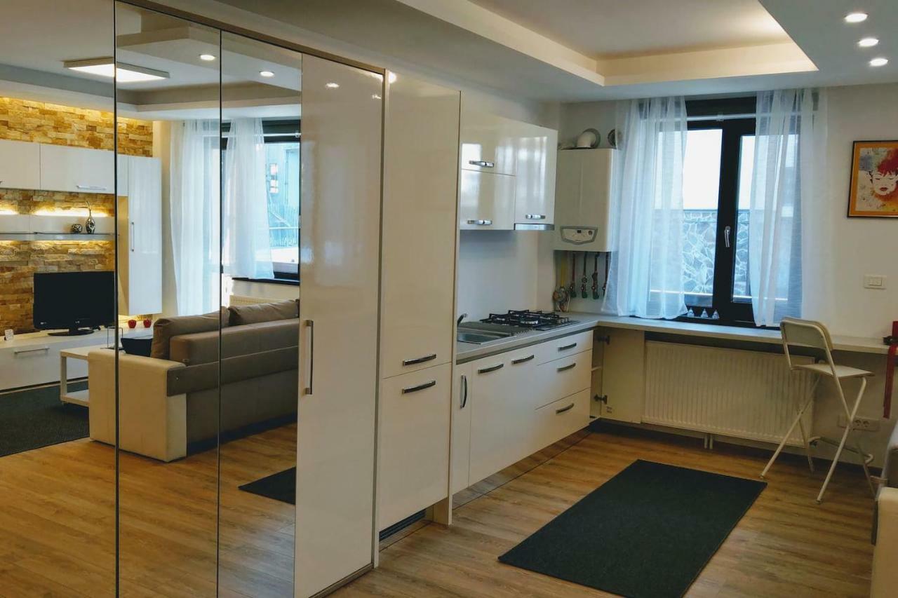 Studio 10 Buşteni エクステリア 写真