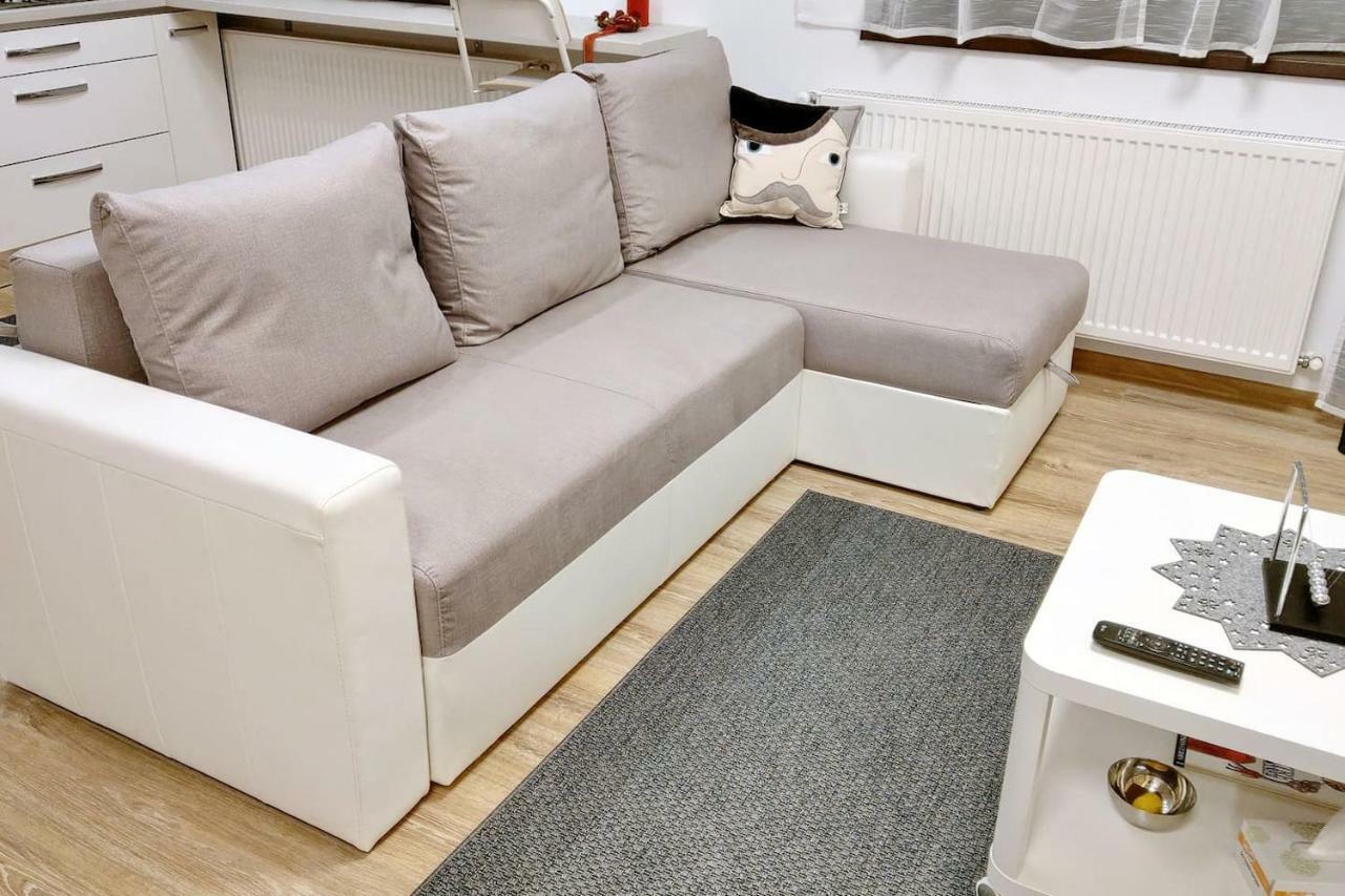 Studio 10 Buşteni エクステリア 写真
