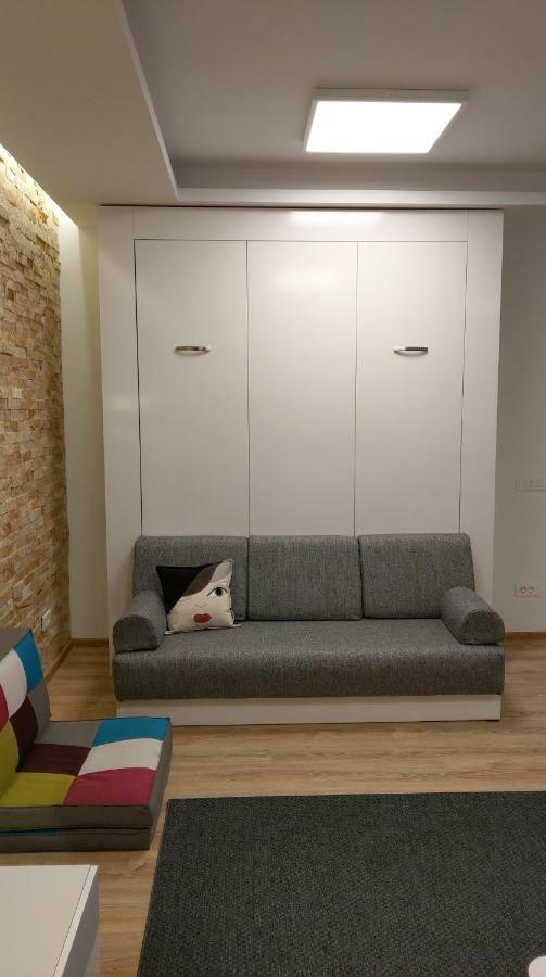 Studio 10 Buşteni エクステリア 写真